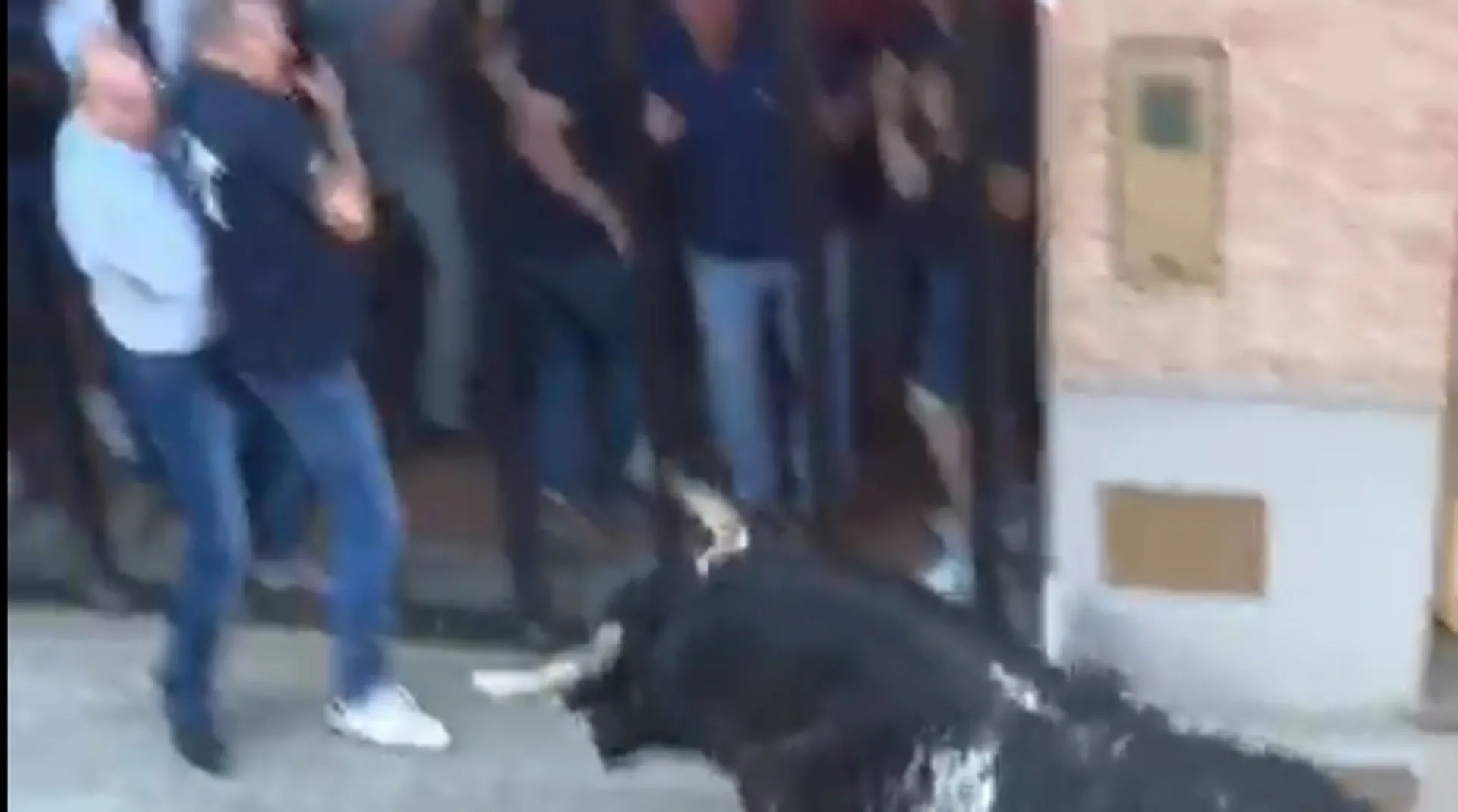 Bous Al Carrer Toros En Valencia Un Hombre Muere Corneado En Los Bous Al Carrer De La Pobla